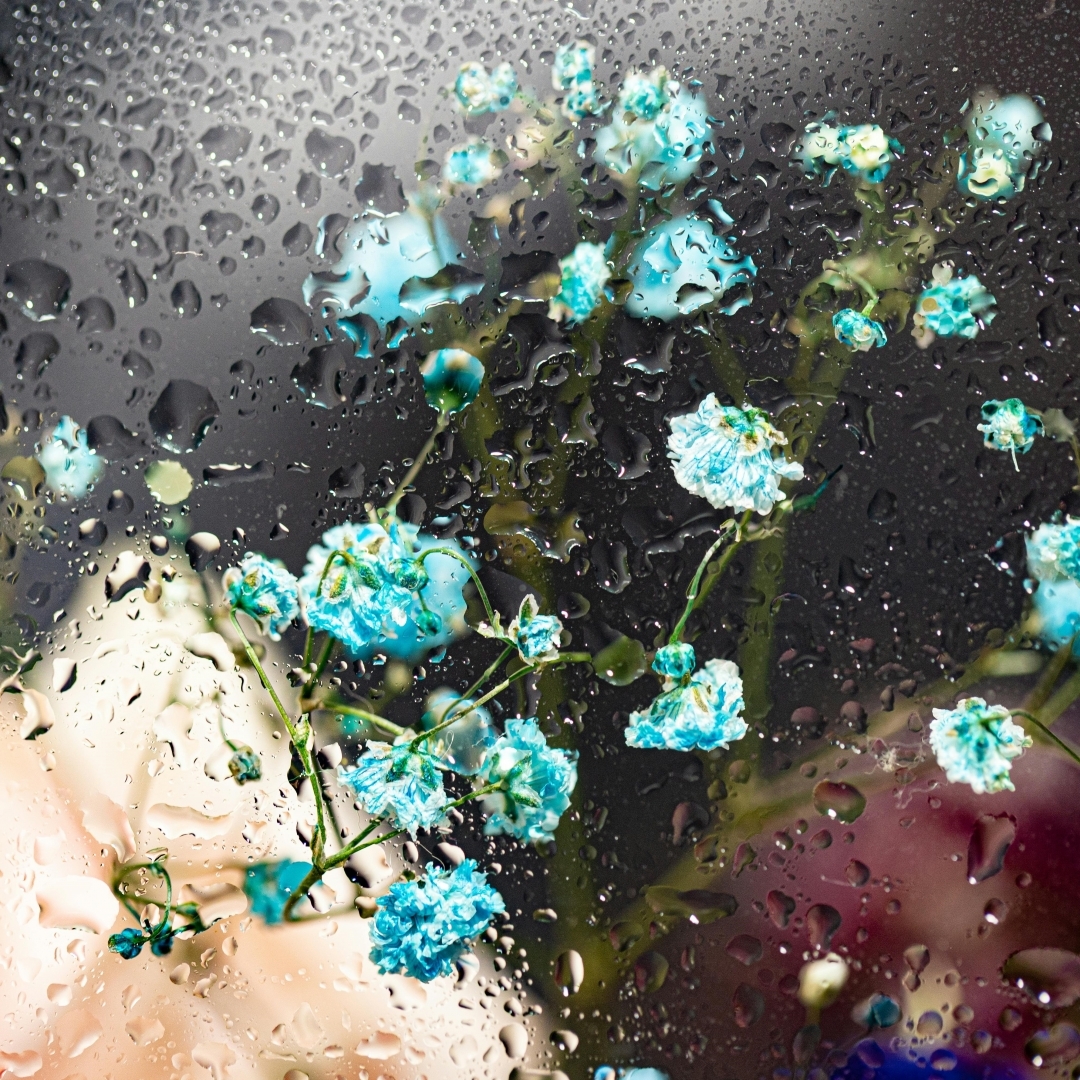 Duis aute irure dolor in reprehenderit